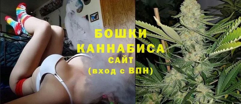 наркотики  Куртамыш  МАРИХУАНА White Widow 